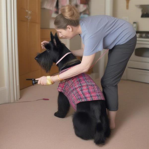 Measuring a Scottie dog for pajamas