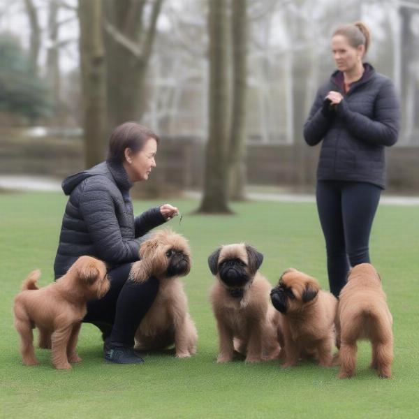 Meeting the Parents and Puppies