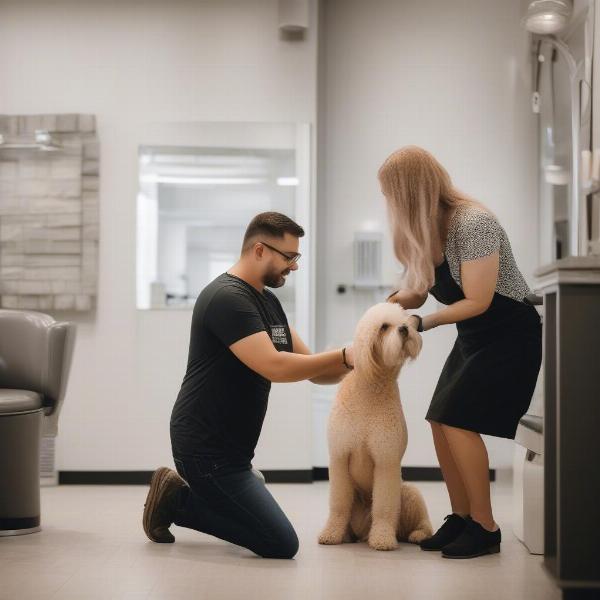 Meeting a Dog Groomer in West Chester