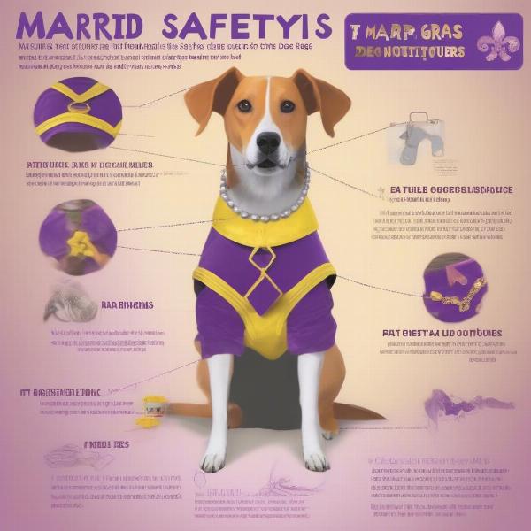 Safety tips for choosing a dog outfit during Mardi Gras festival