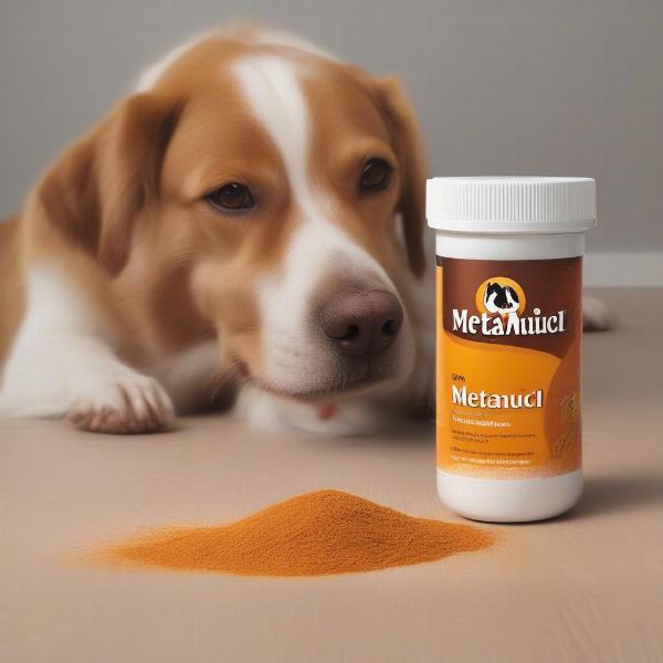 Metamucil for Dogs with Constipation