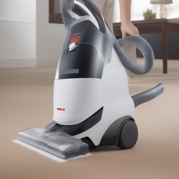 Miele C1 Cat and Dog Maintenance