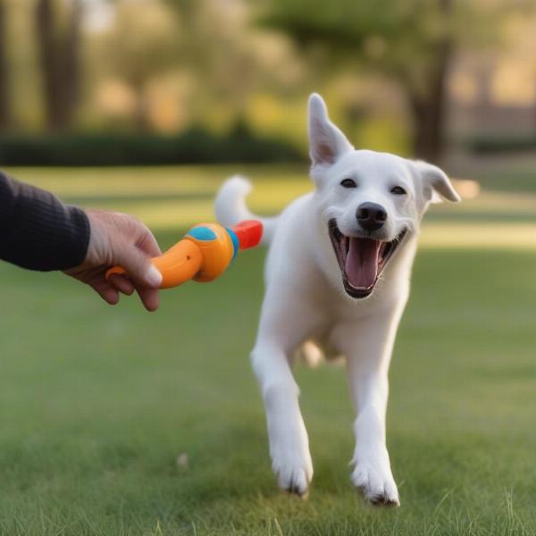 Dog Playing with Mister Bill Toy