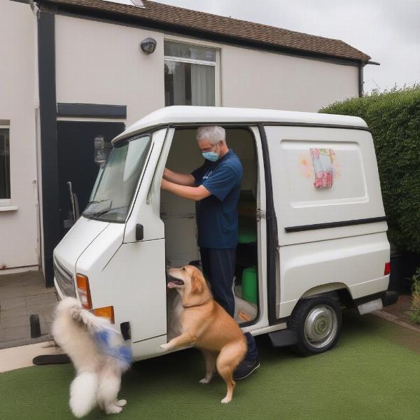 Mobile Dog Grooming Gold Coast: Convenience at Your Doorstep