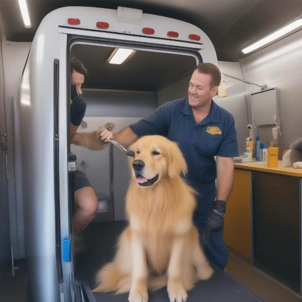 Mobile dog grooming for large breeds