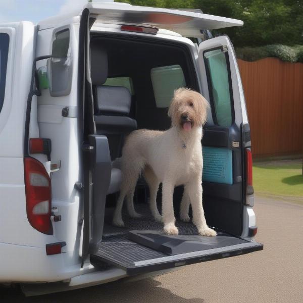 Mobile Dog Grooming Service in Seaham