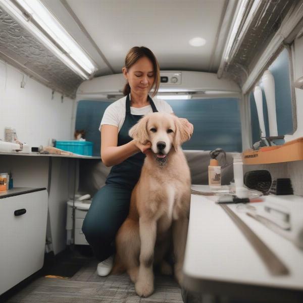 Mobile Dog Grooming Services in Lubbock: A groomer trimming a dog's nails.