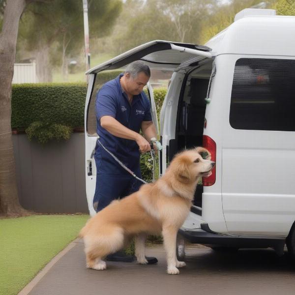 Mobile Dog Grooming in Toowoomba