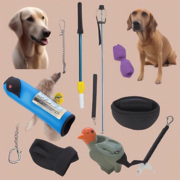 Modern Dog Training Tools Alternatives to Pigeons