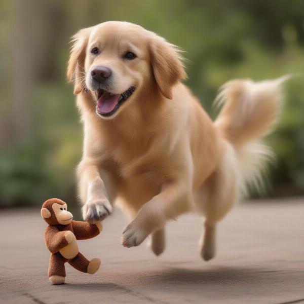 Dog Playing with Monkey Squeak Toy