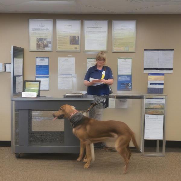 Applying for a Dog License in Person at the Monroe County Treasurer's Office