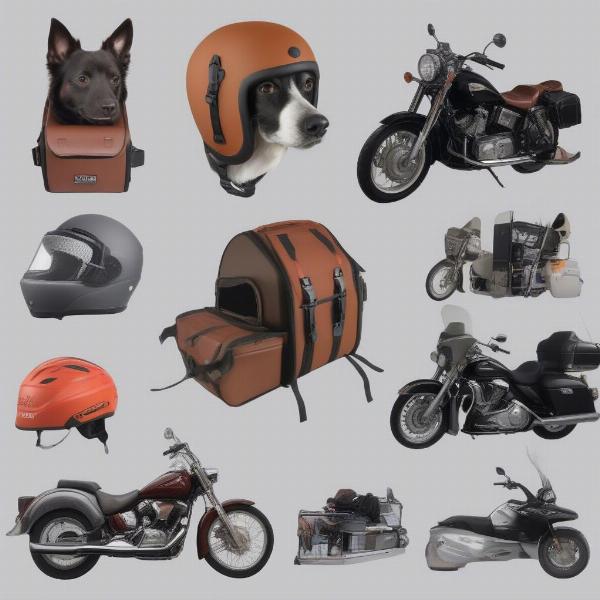 Motorcycle dog carrier and safety gear