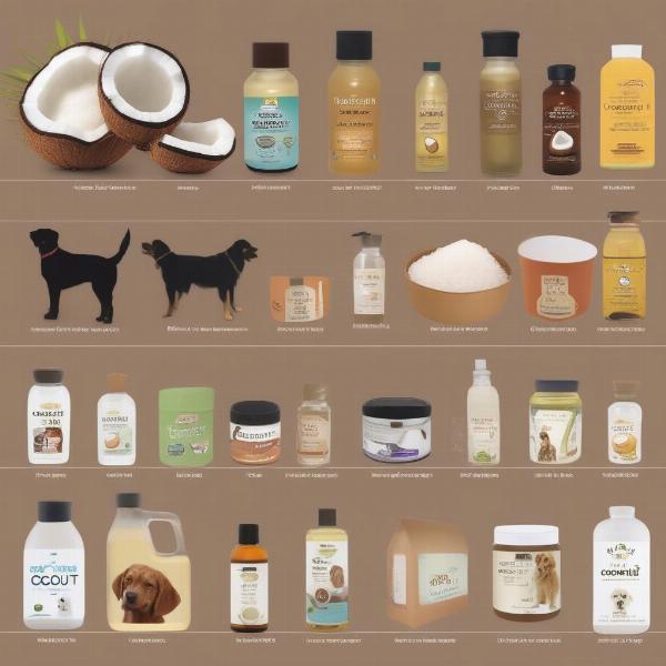 Buying Coconut Oil for Dogs Online and Offline