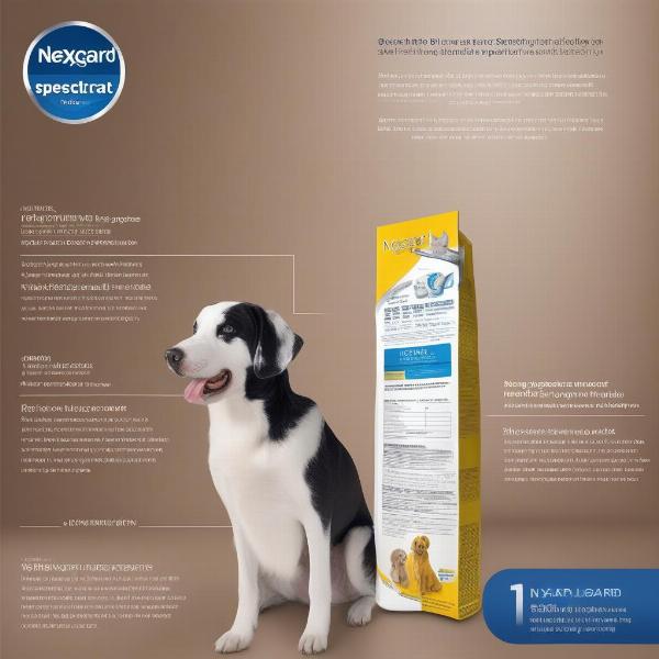 NexGard Spectra Packaging for Medium Dogs