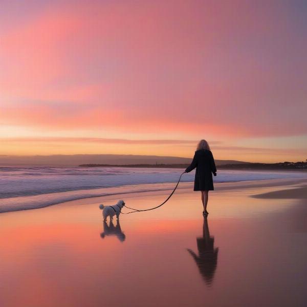 A person walking their dog on a leash at a Wollongong beach