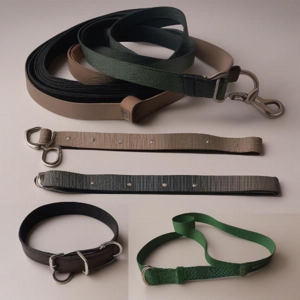 Dog Collar and Leash Materials: Nylon, Leather, Metal, and Biothane