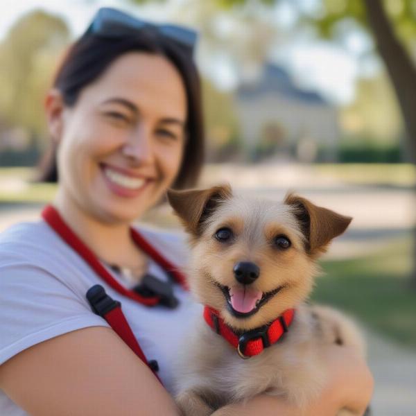 A happy small dog being adopted from an Okanagan rescue.