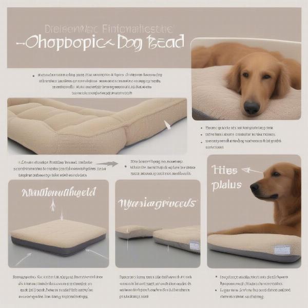 Key Features of Orthopedic Dog Beds