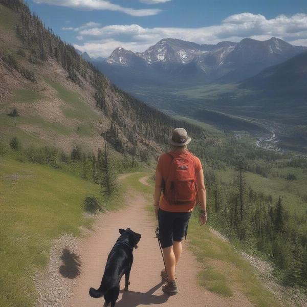 Dog-Friendly Hiking Trails in Ouray