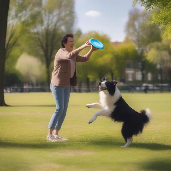 Owner playing with their comfort dog in the park