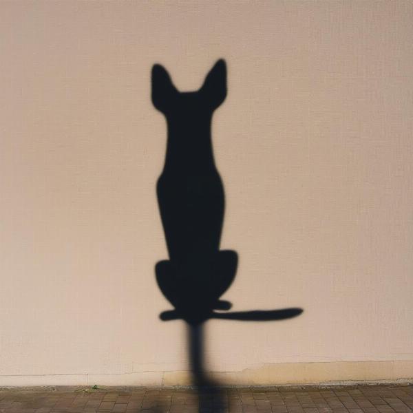 Pareidolia: Shadow Resembling a Dog