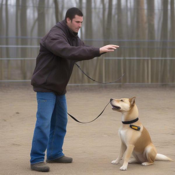 Pathfinder Dog in Training