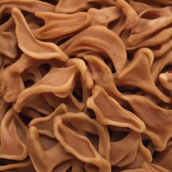 Close-up of a pig ear dog treat