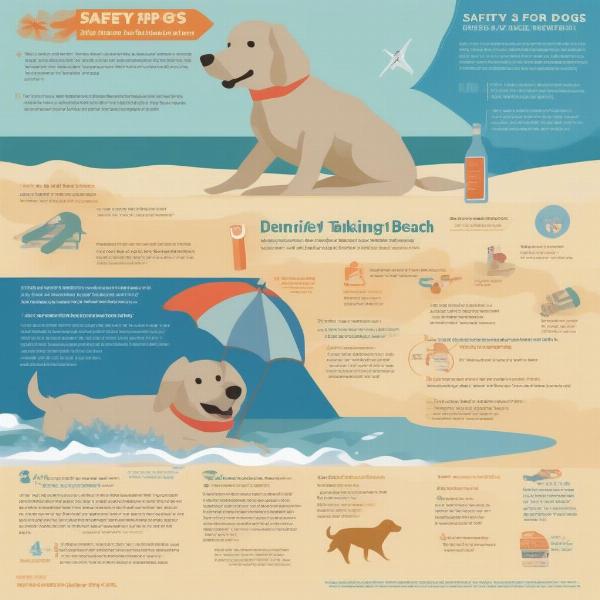 Dog safety tips on the beach