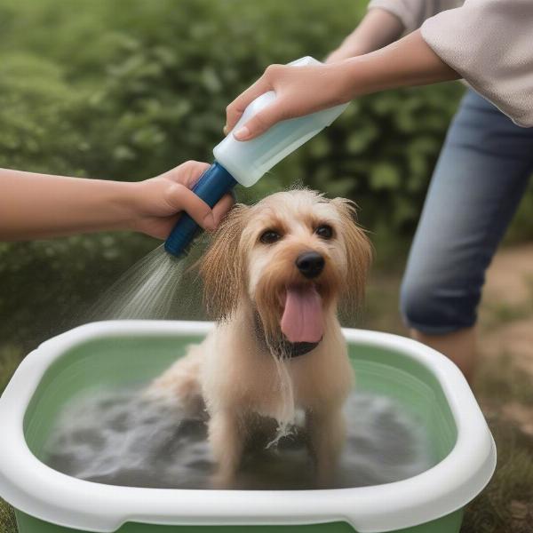 Portable Dog Bath Tub with Sprayer