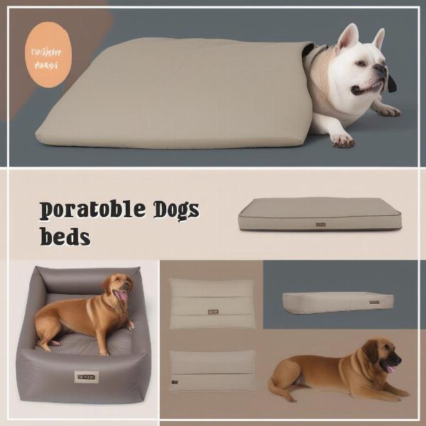 Different Types of Portable Dog Beds