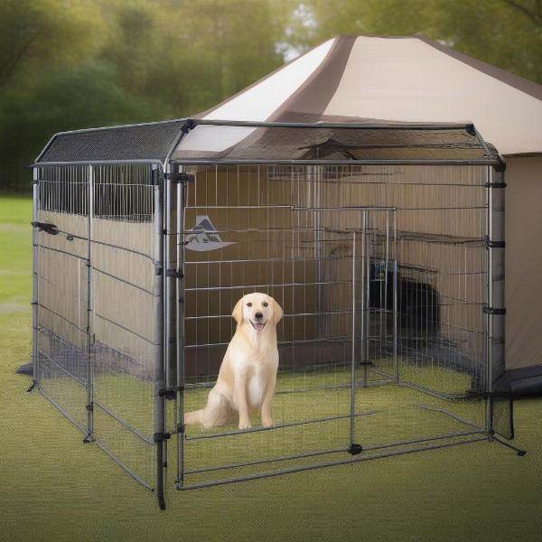 Portable Dog Fence Types for Camping in Australia