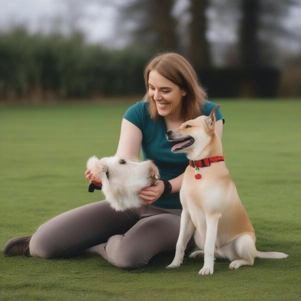 Positive Reinforcement Dog Training in Falkirk