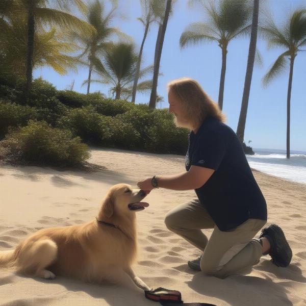 Dog Training Maui: Unleashing Your Dog’s Potential in Paradise