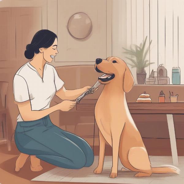 Preparing Your Dog for Grooming in San Marcos