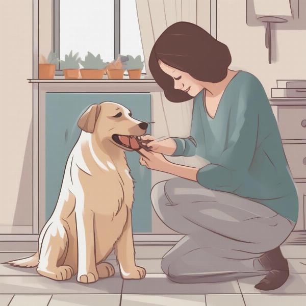 Preparing your dog for grooming