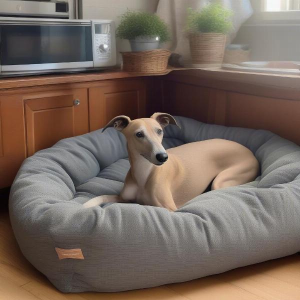 Preparing Your Home for a Greyhound