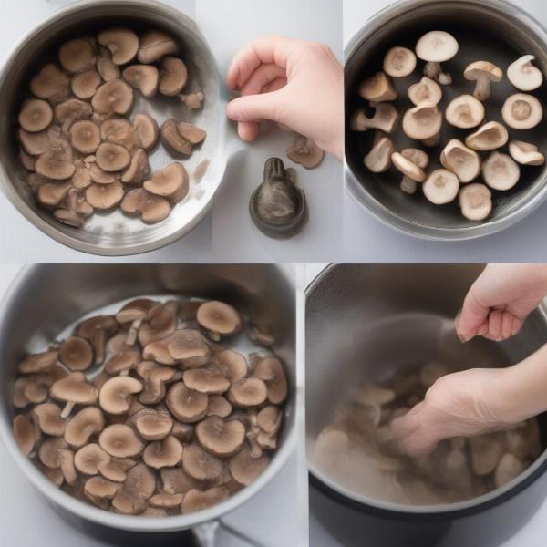 Preparing and Serving Shiitake Mushrooms to Dogs