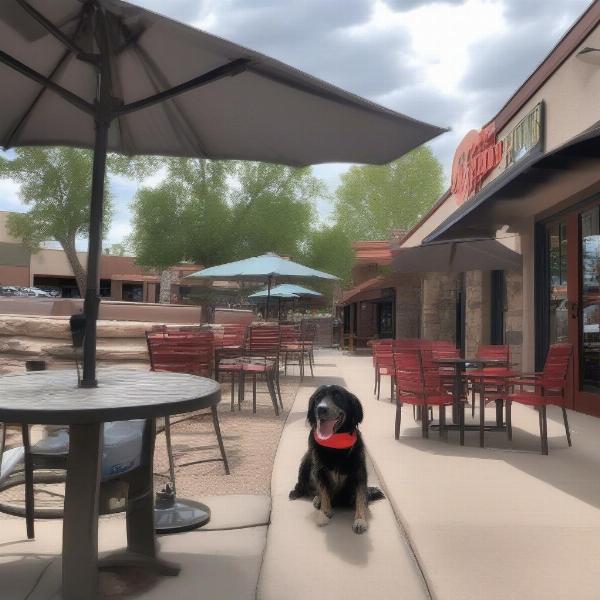 Dog-friendly patio in Prescott, AZ