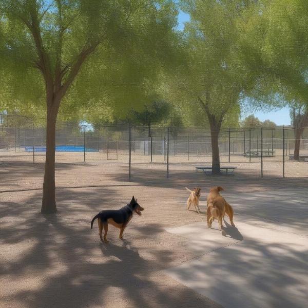 A fenced private dog park with dogs playing