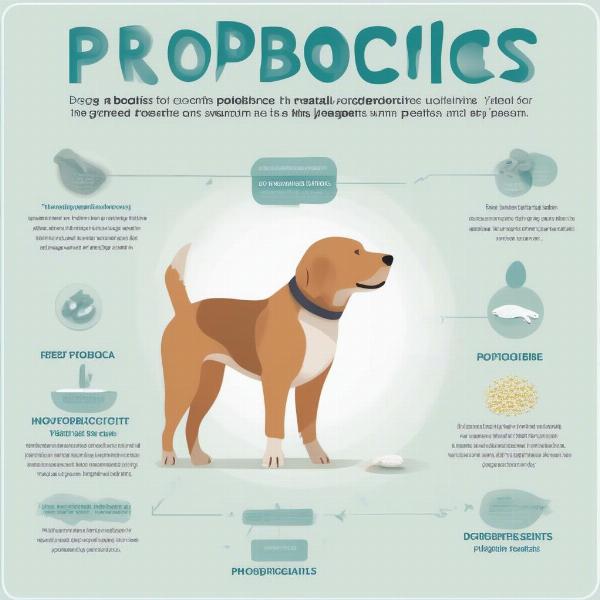 Probiotic Benefits for Dogs