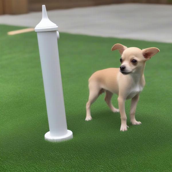 Puppy Using a Wee Post