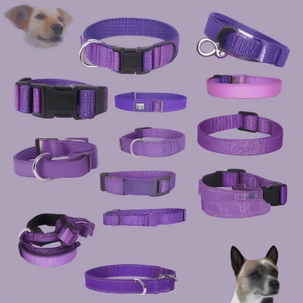 Purple Dog Collars and Leashes Set