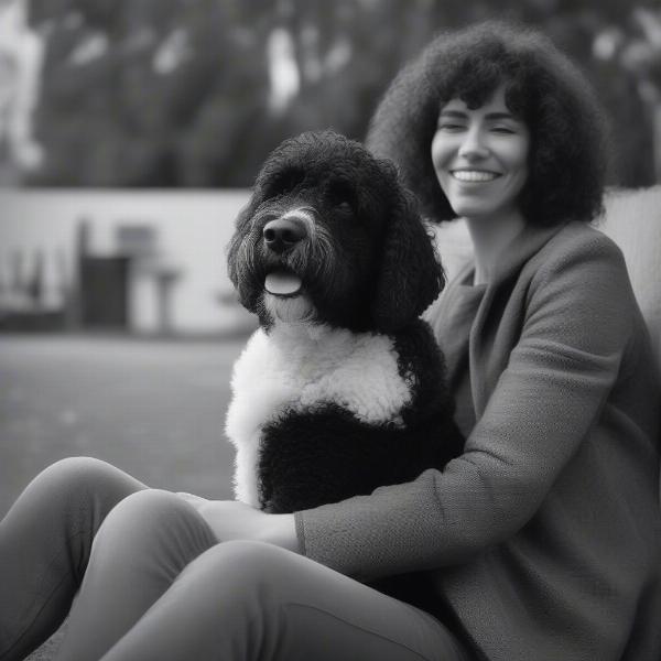 A Portuguese Water Dog cuddles affectionately with its owner on a sofa.