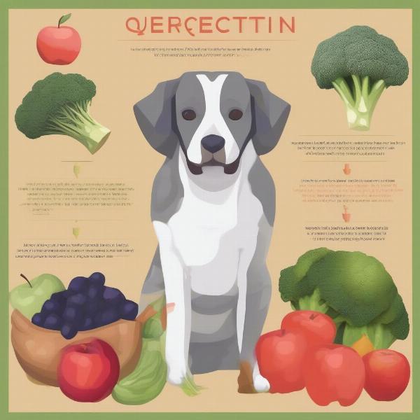 Quercetin benefits for dogs