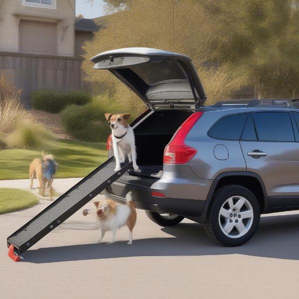 Receiver Hitch Steps for Dogs with Integrated Cargo Carrier