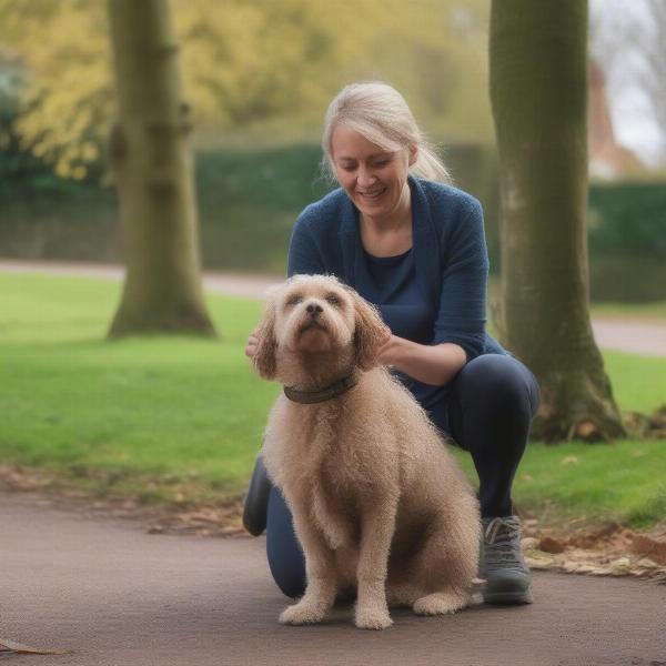 Redditch dog walker meeting a new dog client