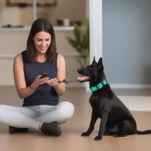 Dog Training with a Remote Collar