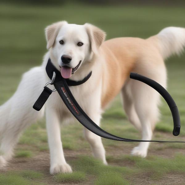 Retractable Dog Lead for Large Dog - Durability