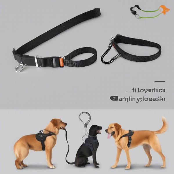 Retractable Leash Types for Large Dogs