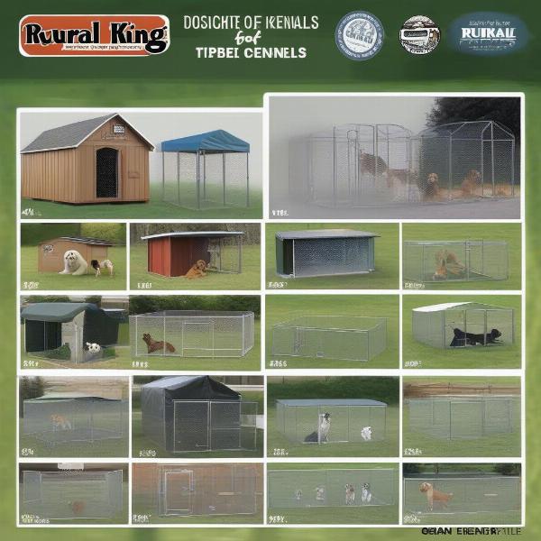 Rural King Dog Kennel Types